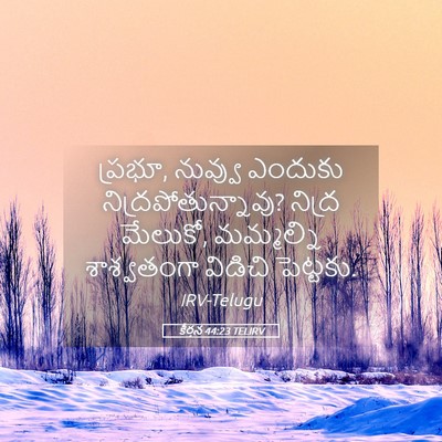 Picture 05 - కీర్తన 44:23 TELIRV - ప్రభూ, నువ్వు - Bible Verse Picture