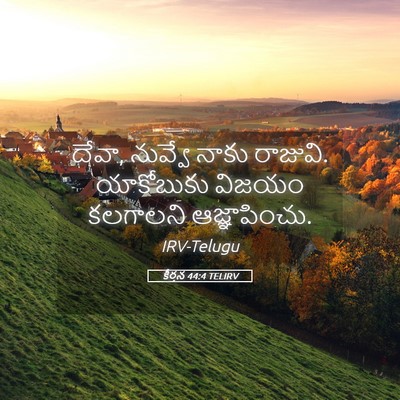 Picture 05 - కీర్తన 44:4 TELIRV - దేవా, నువ్వే నాకు - Bible Verse Picture