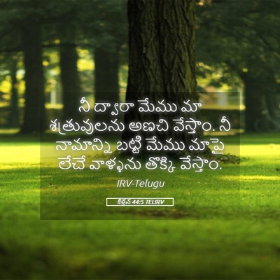 Picture 05 - కీర్తన 44:5 TELIRV - నీ ద్వారా మేము మా - Bible Verse Picture