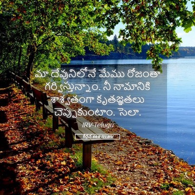 Picture 05 - కీర్తన 44:8 TELIRV - మా దేవునిలోనే - Bible Verse Picture