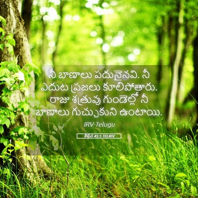 Picture 05 - కీర్తన 45:5 TELIRV - నీ బాణాలు - Bible Verse Picture