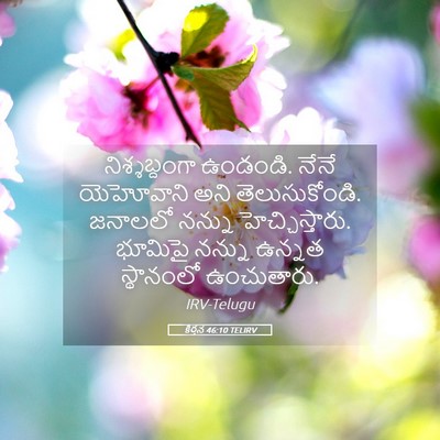 Picture 05 - కీర్తన 46:10 TELIRV - నిశ్శబ్దంగా - Bible Verse Picture