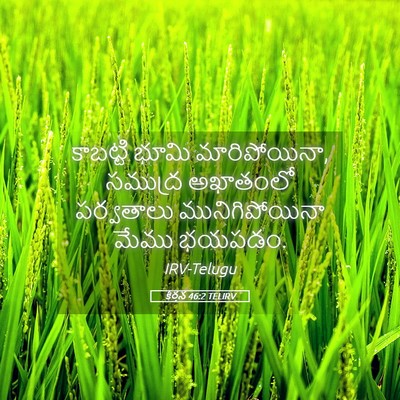 Picture 05 - కీర్తన 46:2 TELIRV - కాబట్టి భూమి - Bible Verse Picture