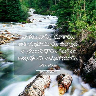 Picture 05 - కీర్తన 48:5 TELIRV - వాళ్ళు దాన్ని - Bible Verse Picture