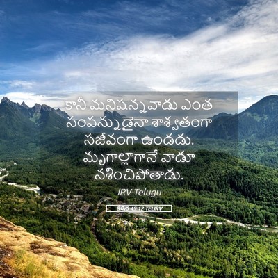 Picture 05 - కీర్తన 49:12 TELIRV - కానీ మనిషన్నవాడు - Bible Verse Picture