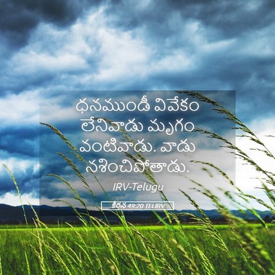 Picture 05 - కీర్తన 49:20 TELIRV - ధనముండీ వివేకం - Bible Verse Picture