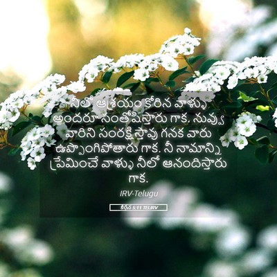 Picture 05 - కీర్తన 5:11 TELIRV - నీలో ఆశ్రయం కోరిన - Bible Verse Picture