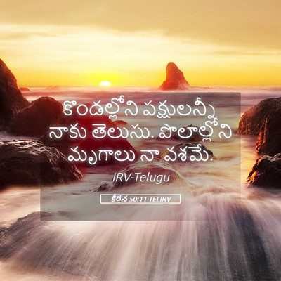 Picture 05 - కీర్తన 50:11 TELIRV - కొండల్లోని - Bible Verse Picture