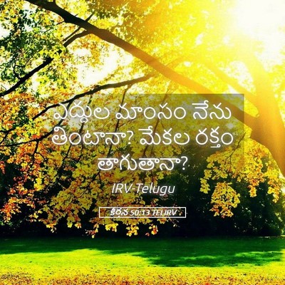 Picture 05 - కీర్తన 50:13 TELIRV - ఎద్దుల మాంసం నేను - Bible Verse Picture