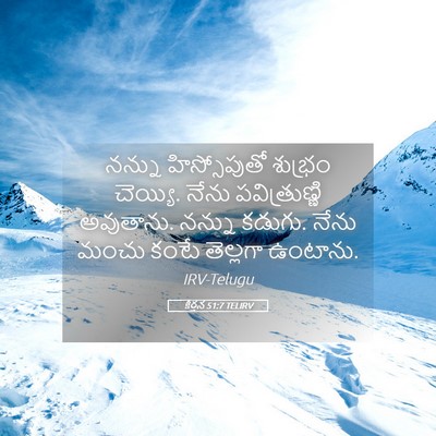 Picture 05 - కీర్తన 51:7 TELIRV - నన్ను హిస్సోపుతో - Bible Verse Picture
