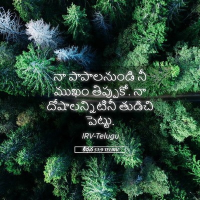 Picture 05 - కీర్తన 51:9 TELIRV - నా పాపాలనుండి నీ - Bible Verse Picture