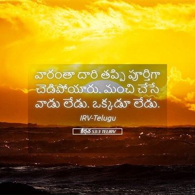 Picture 05 - కీర్తన 53:3 TELIRV - వారంతా దారి తప్పి - Bible Verse Picture