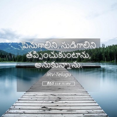 Picture 05 - కీర్తన 55:8 TELIRV - పెనుగాలిని, - Bible Verse Picture