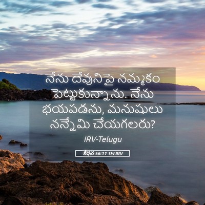 Picture 05 - కీర్తన 56:11 TELIRV - నేను దేవునిపై - Bible Verse Picture