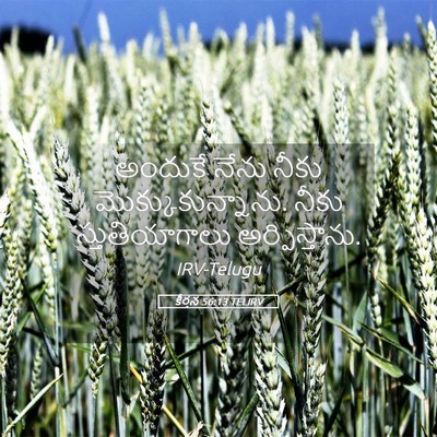 Picture 05 - కీర్తన 56:13 TELIRV - అందుకే నేను నీకు - Bible Verse Picture
