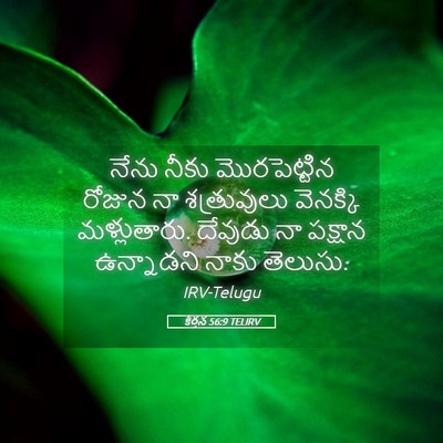 Picture 05 - కీర్తన 56:9 TELIRV - నేను నీకు - Bible Verse Picture