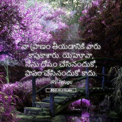 Picture 05 - కీర్తన 59:3 TELIRV - నా ప్రాణం - Bible Verse Picture