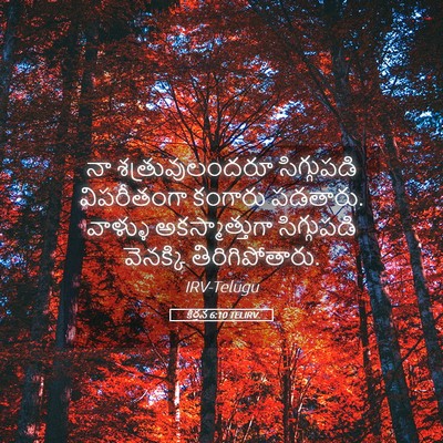 Picture 05 - కీర్తన 6:10 TELIRV - నా శత్రువులందరూ - Bible Verse Picture