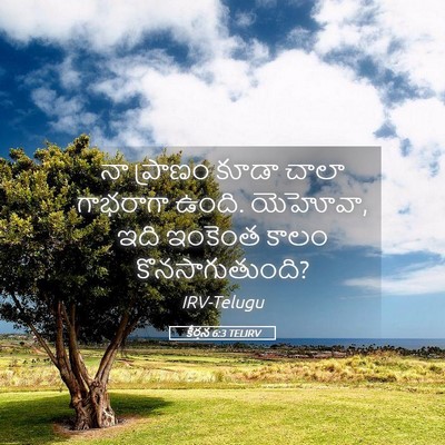 Picture 05 - కీర్తన 6:3 TELIRV - నా ప్రాణం కూడా - Bible Verse Picture