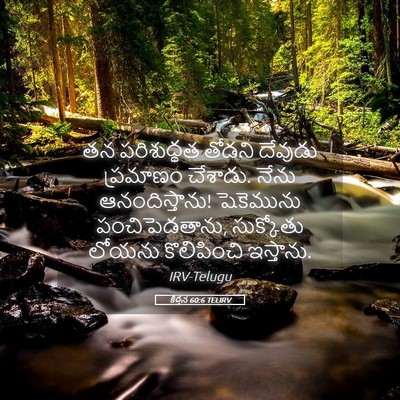 Picture 05 - కీర్తన 60:6 TELIRV - తన పరిశుద్ధత - Bible Verse Picture