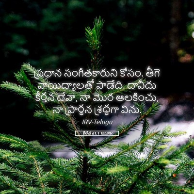 Picture 05 - కీర్తన 61:1 TELIRV - ప్రధాన - Bible Verse Picture