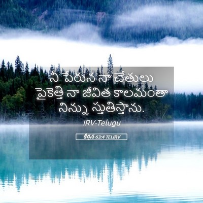 Picture 05 - కీర్తన 63:4 TELIRV - నీ పేరున నా చేతులు - Bible Verse Picture