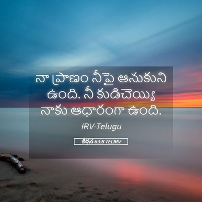 Picture 05 - కీర్తన 63:8 TELIRV - నా ప్రాణం నీపై - Bible Verse Picture