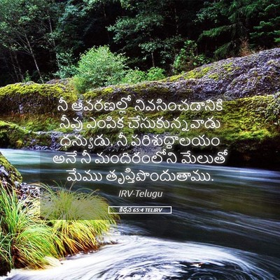 Picture 05 - కీర్తన 65:4 TELIRV - నీ ఆవరణల్లో - Bible Verse Picture