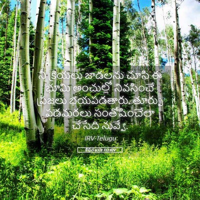 Picture 05 - కీర్తన 65:8 TELIRV - నీ క్రియలు జాడలను - Bible Verse Picture