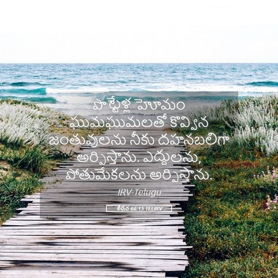 Picture 05 - కీర్తన 66:15 TELIRV - పొట్టేళ్ల హోమం - Bible Verse Picture