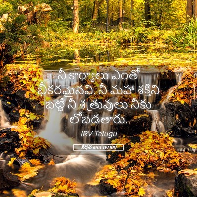 Picture 05 - కీర్తన 66:3 TELIRV - నీ కార్యాలు ఎంతో - Bible Verse Picture
