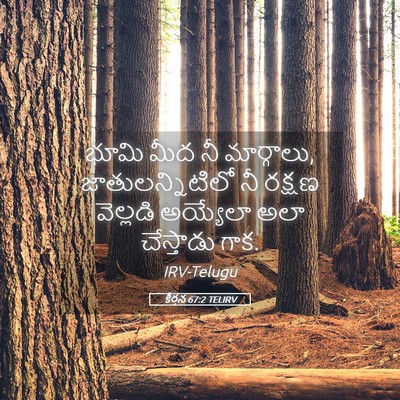 Picture 05 - కీర్తన 67:2 TELIRV - భూమి మీద నీ - Bible Verse Picture