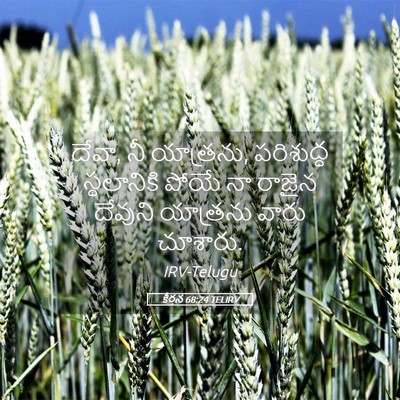 Picture 05 - కీర్తన 68:24 TELIRV - దేవా, నీ యాత్రను, - Bible Verse Picture