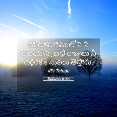 Picture 05 - కీర్తన 68:29 TELIRV - యెరూషలేములోని నీ - Bible Verse Picture