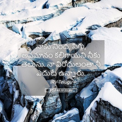 Picture 05 - కీర్తన 69:19 TELIRV - నాకు నింద, సిగ్గు, - Bible Verse Picture