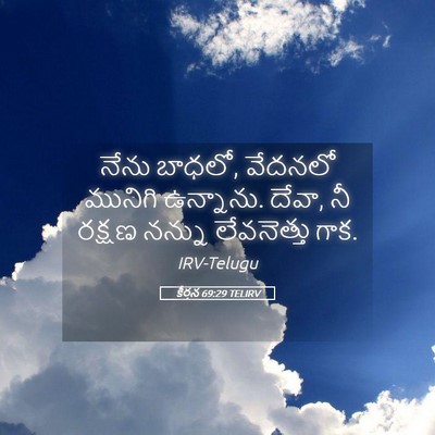Picture 05 - కీర్తన 69:29 TELIRV - నేను బాధలో, వేదనలో - Bible Verse Picture