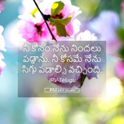 Picture 05 - కీర్తన 69:7 TELIRV - నీ కోసం నేను - Bible Verse Picture