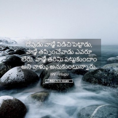 Picture 05 - కీర్తన 71:11 TELIRV - దేవుడు వాణ్ణి - Bible Verse Picture