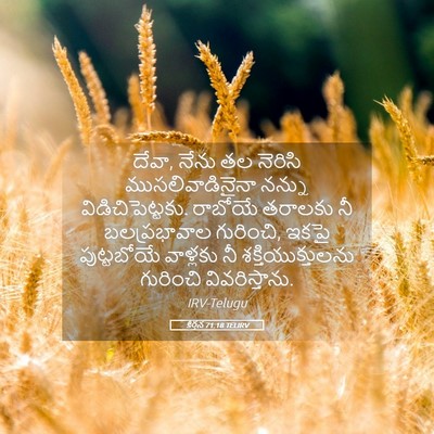 Picture 05 - కీర్తన 71:18 TELIRV - దేవా, నేను తల - Bible Verse Picture