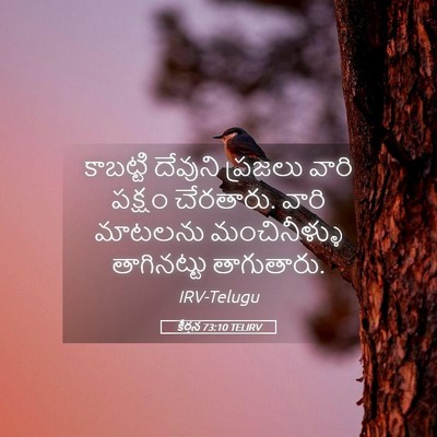 Picture 05 - కీర్తన 73:10 TELIRV - కాబట్టి దేవుని - Bible Verse Picture