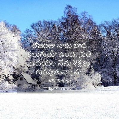 Picture 05 - కీర్తన 73:14 TELIRV - రోజంతా నాకు బాధ - Bible Verse Picture