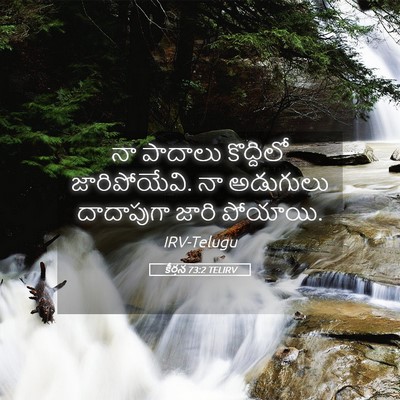 Picture 05 - కీర్తన 73:2 TELIRV - నా పాదాలు - Bible Verse Picture