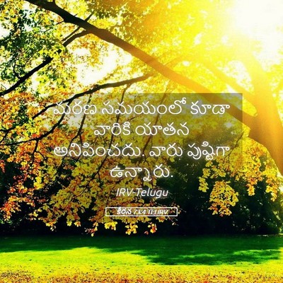 Picture 05 - కీర్తన 73:4 TELIRV - మరణ సమయంలో కూడా - Bible Verse Picture