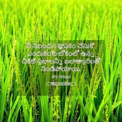 Picture 05 - కీర్తన 74:20 TELIRV - నీ నిబంధన జ్ఞాపకం - Bible Verse Picture