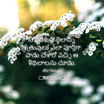 Picture 05 - కీర్తన 74:3 TELIRV - నీ పరిశుద్ధ - Bible Verse Picture