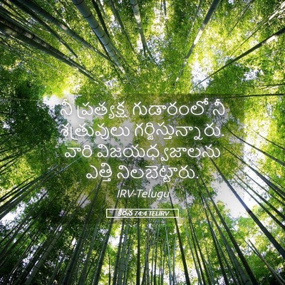 Picture 05 - కీర్తన 74:4 TELIRV - నీ ప్రత్యక్ష - Bible Verse Picture