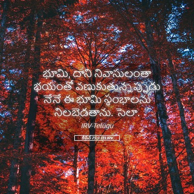 Picture 05 - కీర్తన 75:3 TELIRV - భూమి, దాని - Bible Verse Picture