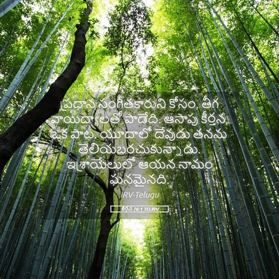Picture 05 - కీర్తన 76:1 TELIRV - ప్రధాన - Bible Verse Picture