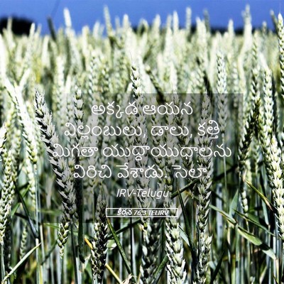 Picture 05 - కీర్తన 76:3 TELIRV - అక్కడ ఆయన - Bible Verse Picture