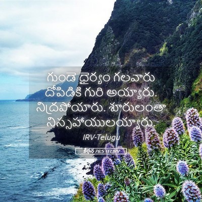 Picture 05 - కీర్తన 76:5 TELIRV - గుండె ధైర్యం - Bible Verse Picture